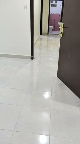 Videos