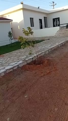 Videos
