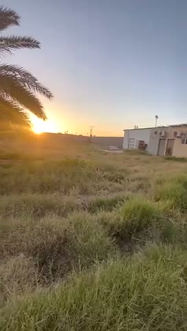 Videos