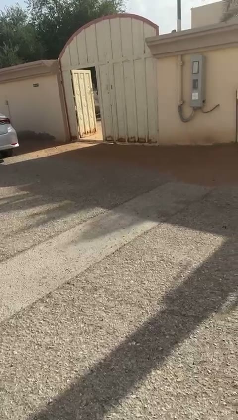  الفيديوهات