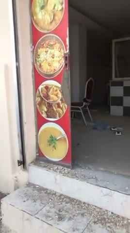 Videos