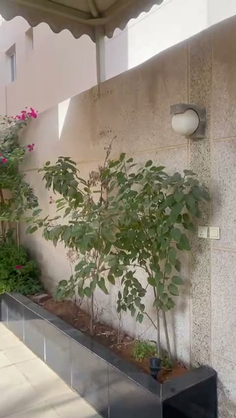 Videos