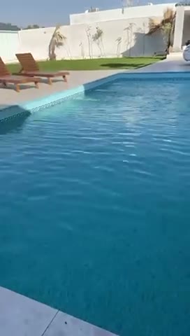  الفيديوهات