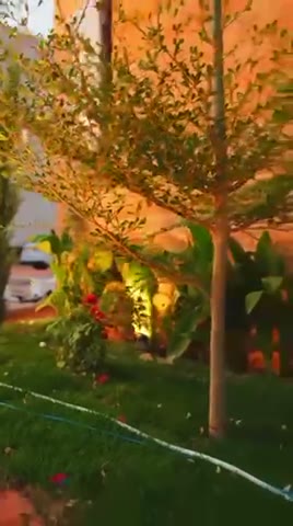  الفيديوهات