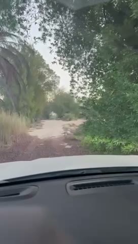 Videos