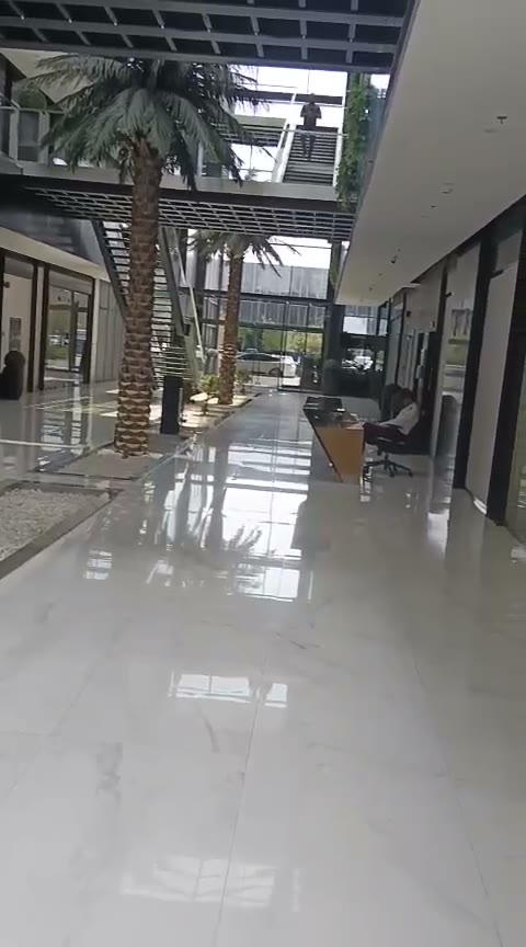  الفيديوهات