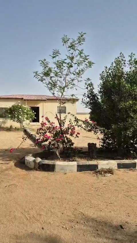  الفيديوهات
