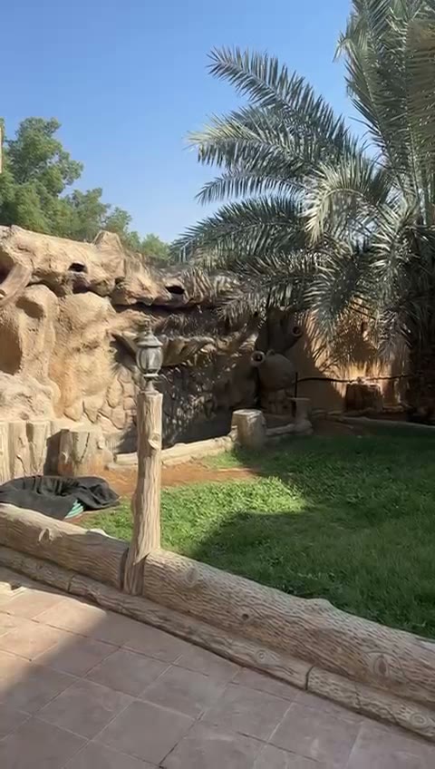  الفيديوهات