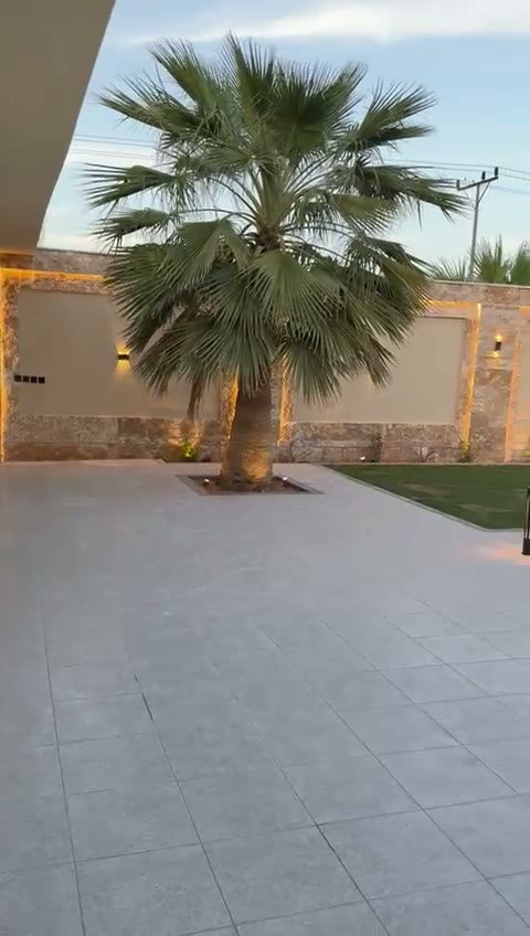  الفيديوهات