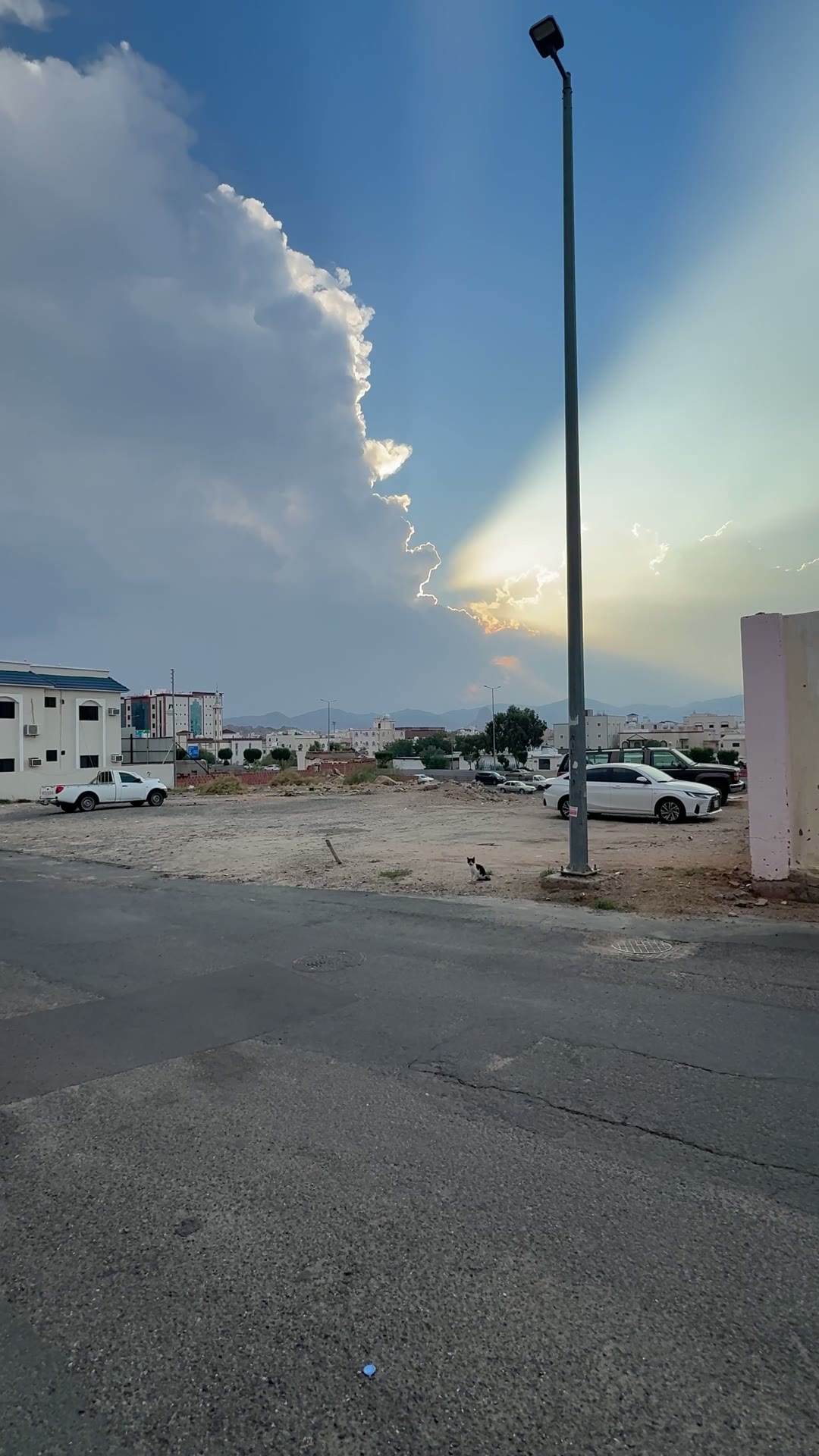  الفيديوهات