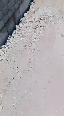 Videos