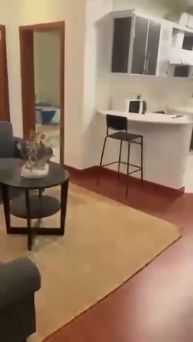 Videos