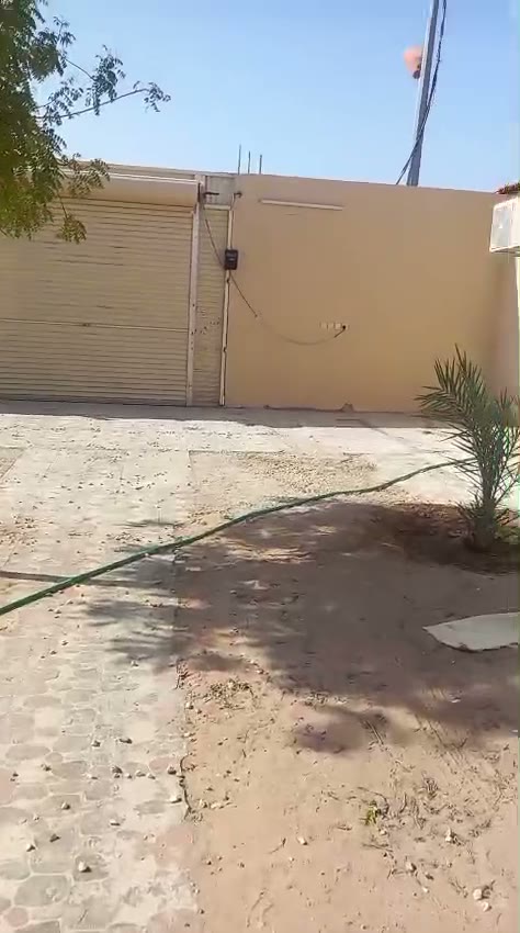 Videos