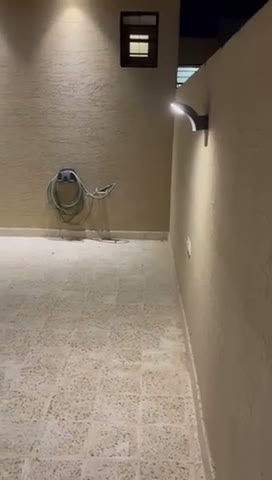 Videos