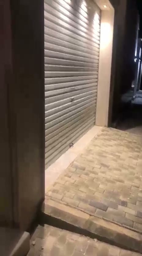 Videos