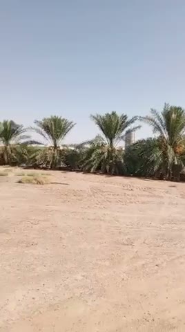 Videos