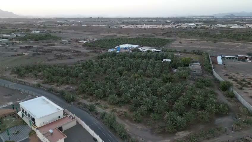  الفيديوهات