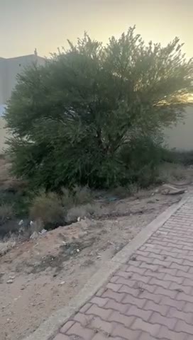 Videos