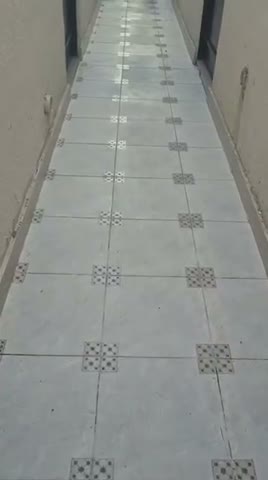 Videos