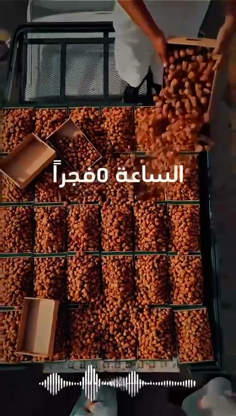  الفيديوهات