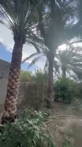  الفيديوهات