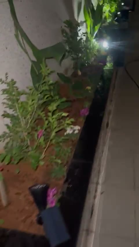 Videos
