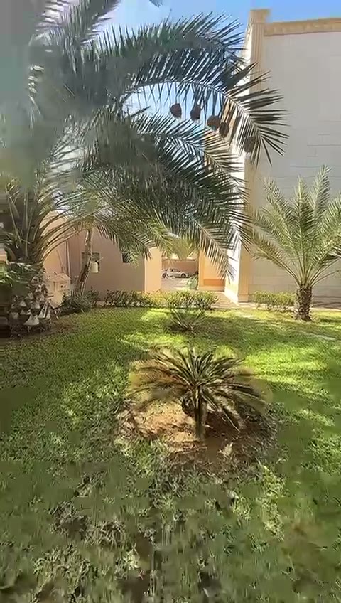  الفيديوهات