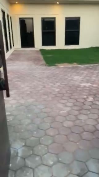 Videos