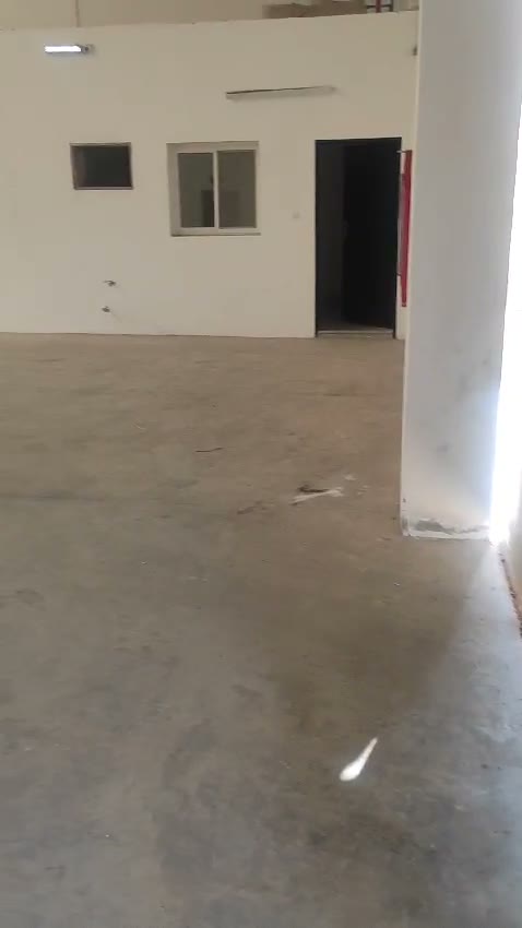 Videos