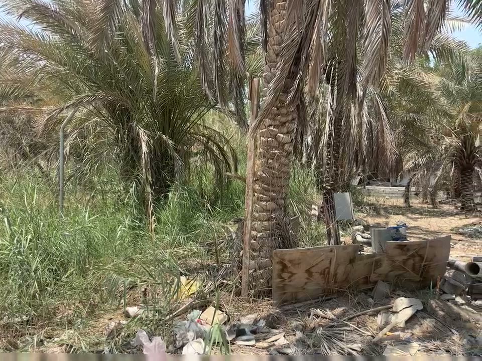 Videos