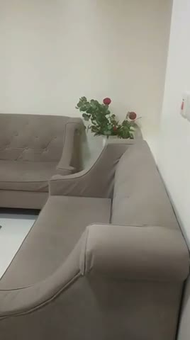 Videos