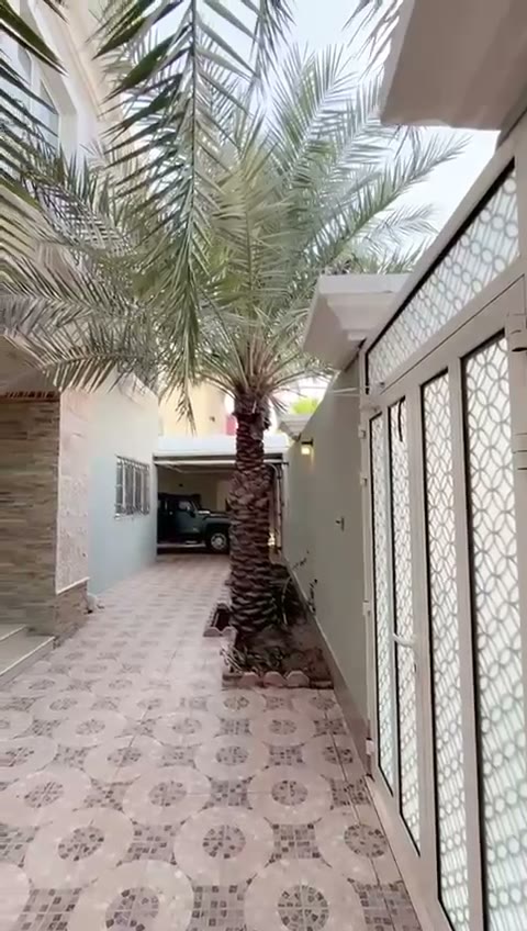  الفيديوهات