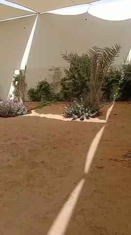  الفيديوهات