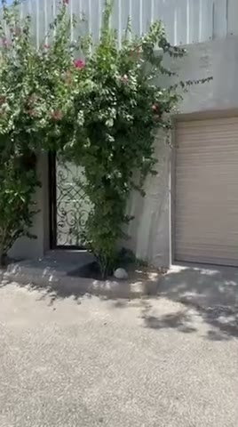 Videos