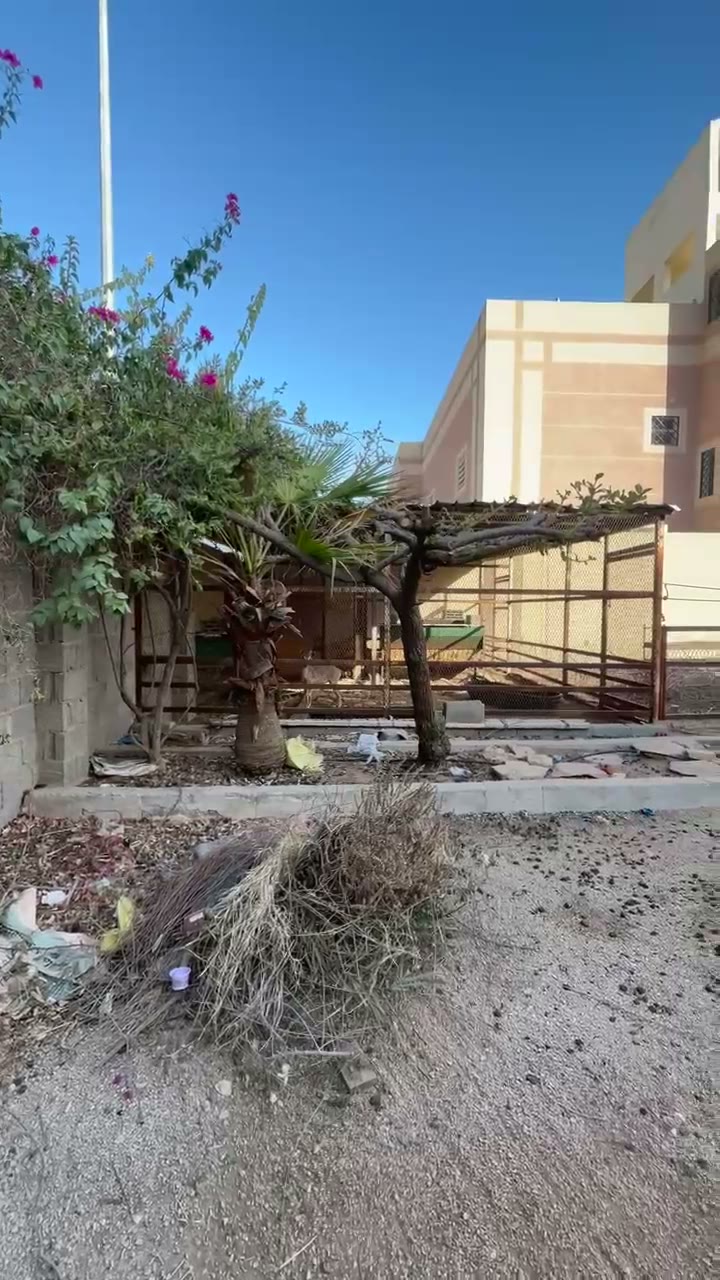  الفيديوهات