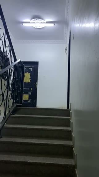 Videos