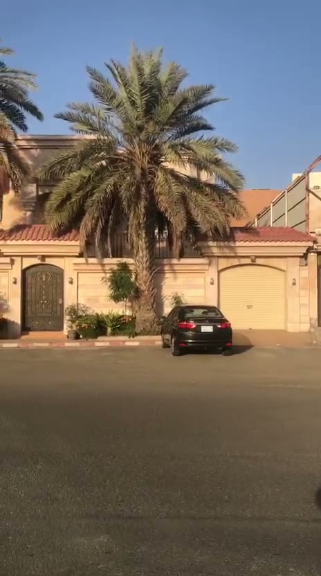  الفيديوهات