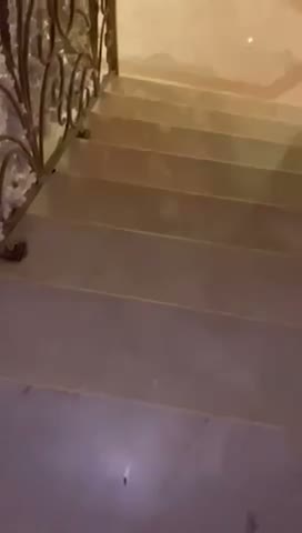 Videos