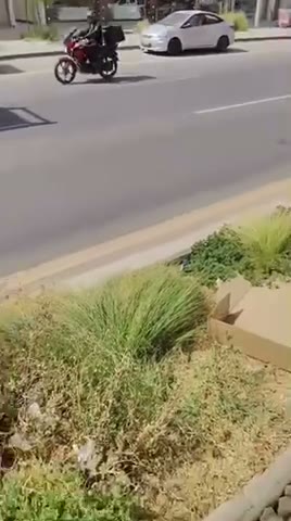 Videos