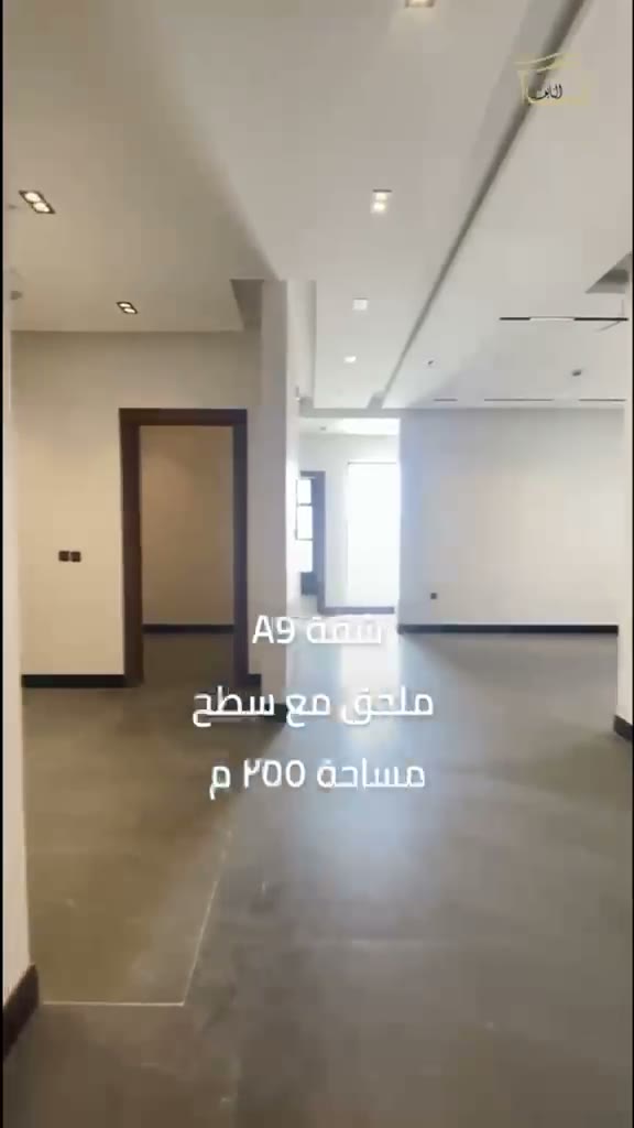  الفيديوهات
