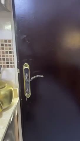 Videos