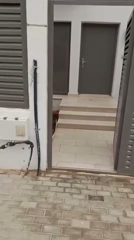 Videos