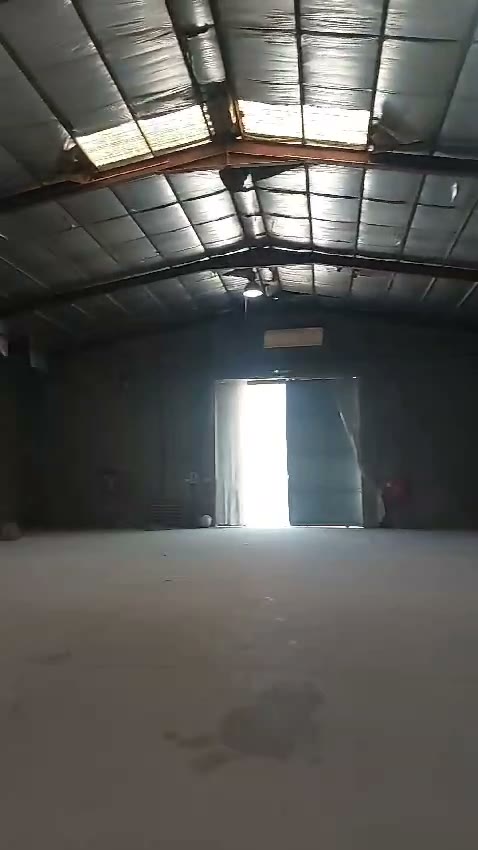 Videos