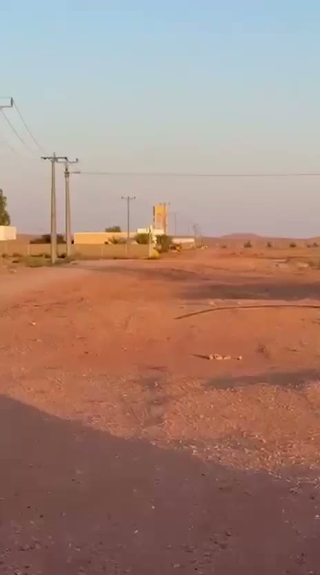 Videos