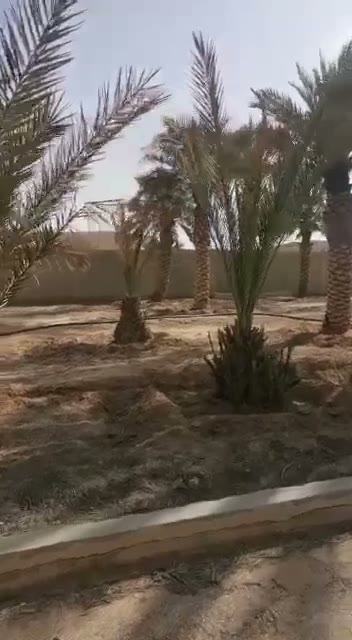  الفيديوهات