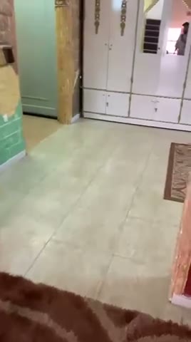 Videos