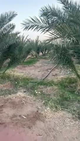 Videos