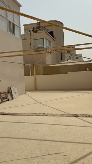 Videos
