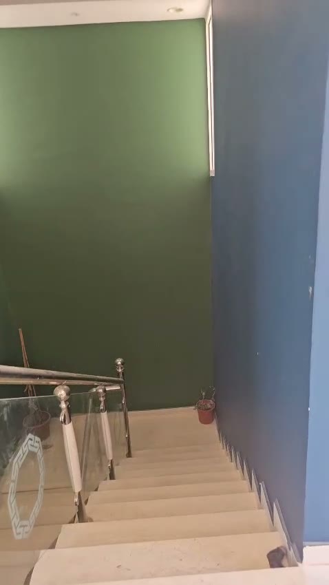 Videos