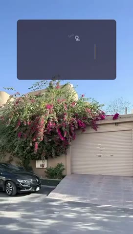 Videos
